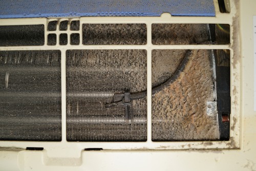 How Does Mold Grow in Aircon?